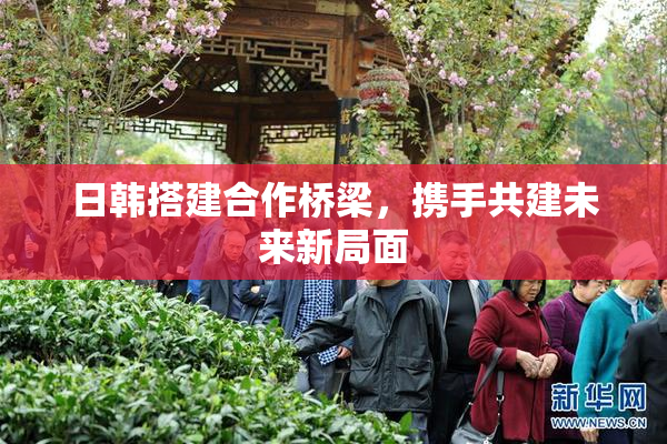 日韩搭建合作桥梁，携手共建未来新局面