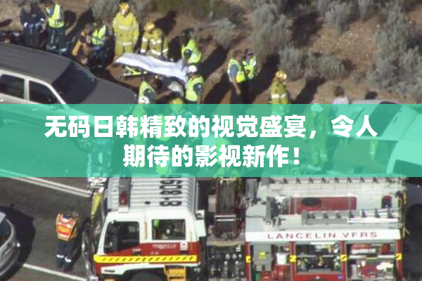 无码日韩精致的视觉盛宴，令人期待的影视新作！