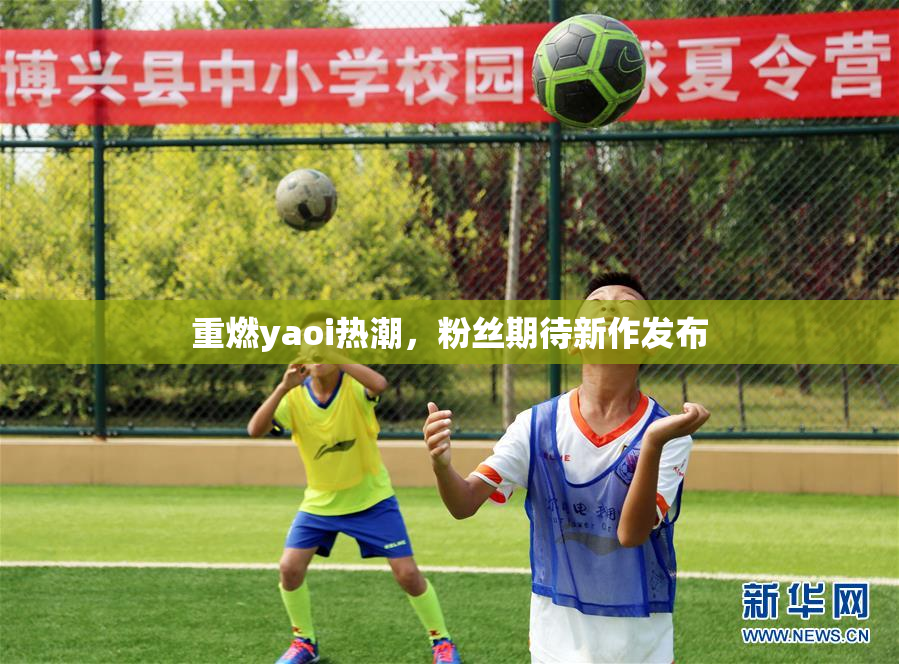 重燃yaoi热潮，粉丝期待新作发布