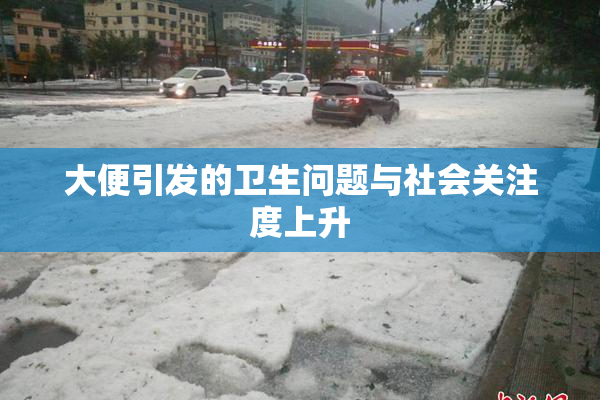 大便引发的卫生问题与社会关注度上升