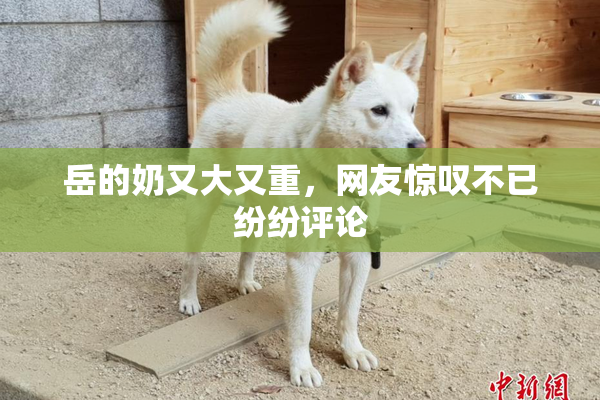 岳的奶又大又重，网友惊叹不已纷纷评论