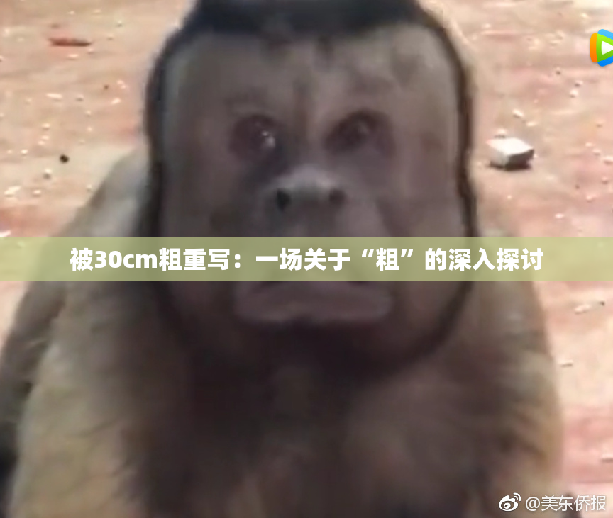 被30cm粗重写：一场关于“粗”的深入探讨