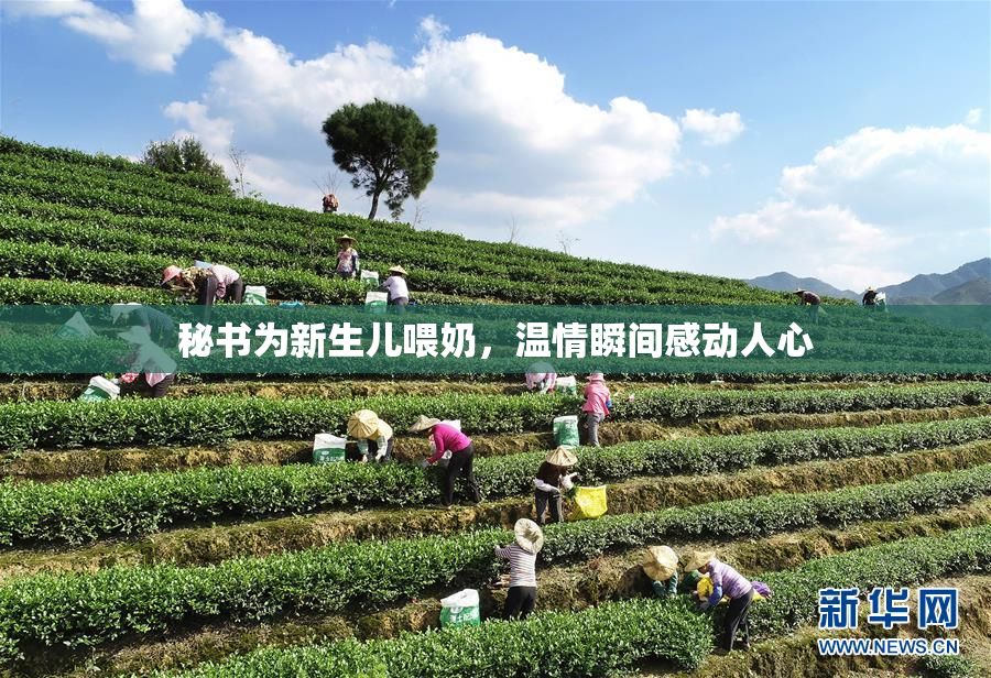 秘书为新生儿喂奶，温情瞬间感动人心
