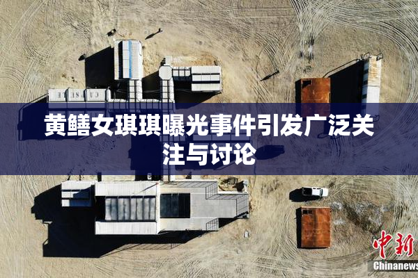 黄鳝女琪琪曝光事件引发广泛关注与讨论