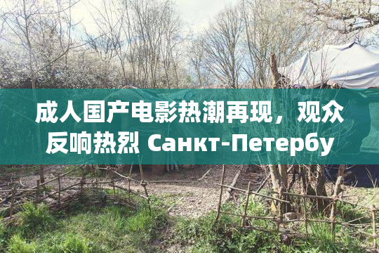 成人国产电影热潮再现，观众反响热烈 Санкт-Петербург
