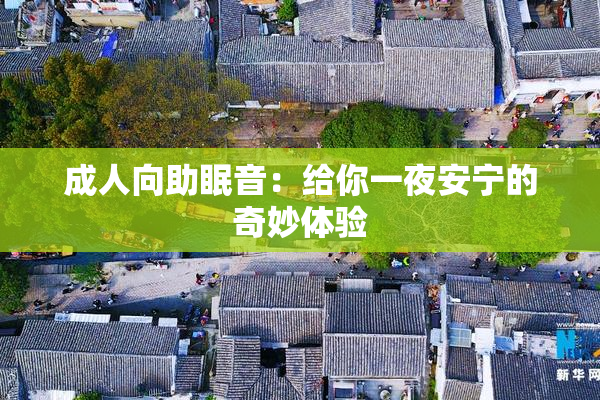 成人向助眠音：给你一夜安宁的奇妙体验