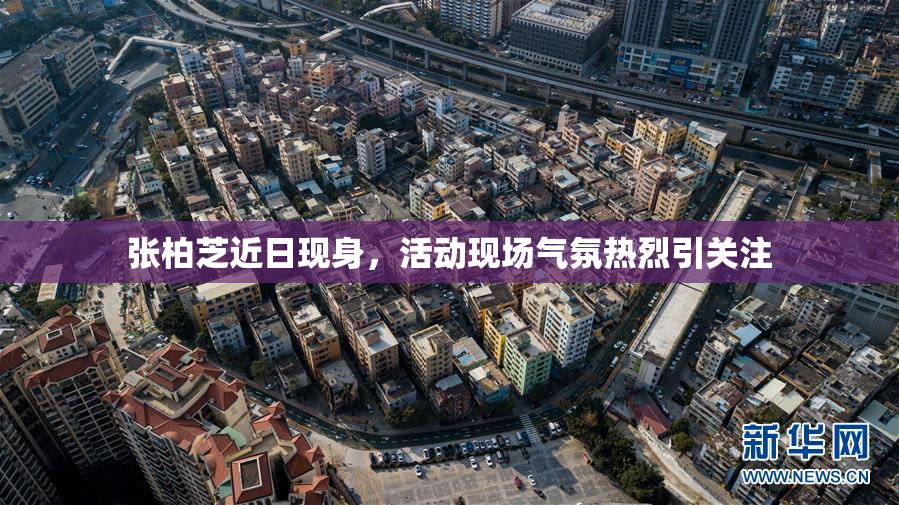 张柏芝近日现身，活动现场气氛热烈引关注