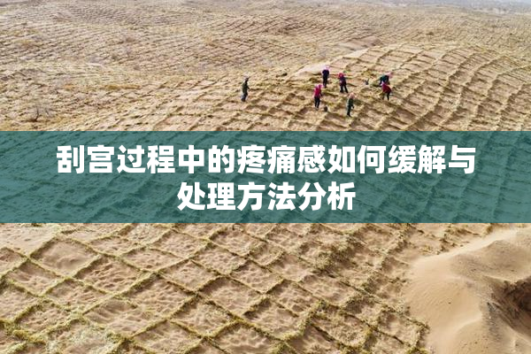 刮宫过程中的疼痛感如何缓解与处理方法分析