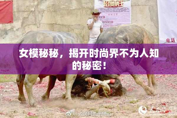 女模秘秘，揭开时尚界不为人知的秘密！