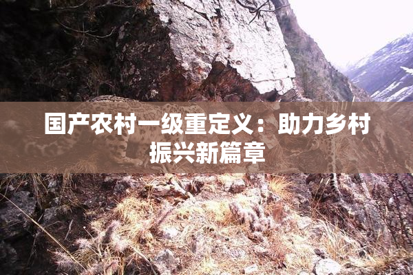 国产农村一级重定义：助力乡村振兴新篇章