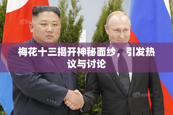 梅花十三揭开神秘面纱，引发热议与讨论