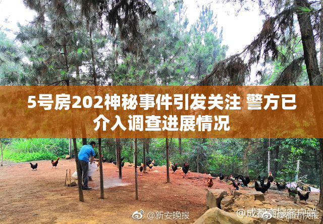 5号房202神秘事件引发关注 警方已介入调查进展情况