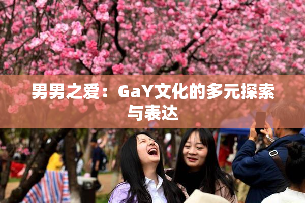 男男之爱：GaY文化的多元探索与表达