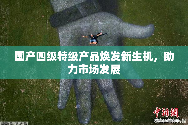 国产四级特级产品焕发新生机，助力市场发展