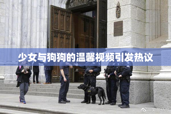 少女与狗狗的温馨视频引发热议