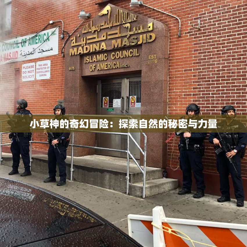 小草神的奇幻冒险：探索自然的秘密与力量