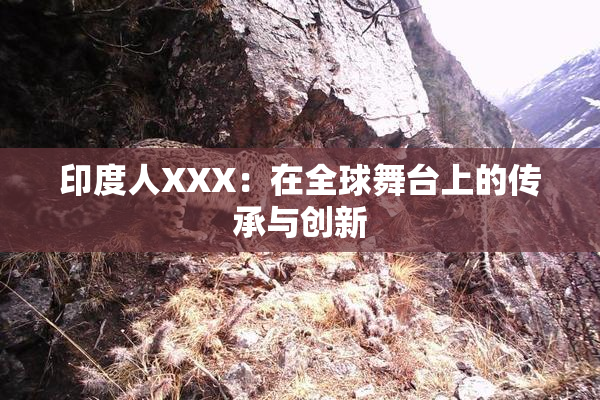 印度人XXX：在全球舞台上的传承与创新
