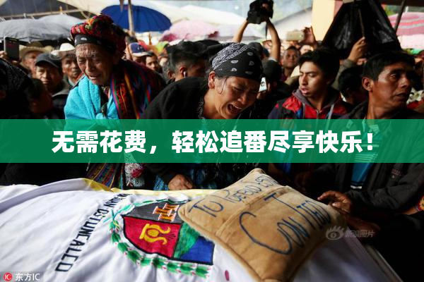 无需花费，轻松追番尽享快乐！