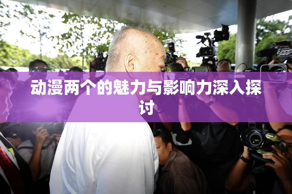 动漫两个的魅力与影响力深入探讨