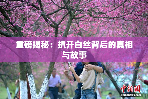 重磅揭秘：扒开白丝背后的真相与故事