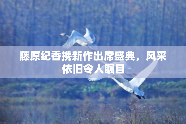 藤原纪香携新作出席盛典，风采依旧令人瞩目