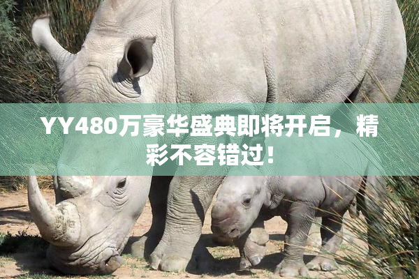 YY480万豪华盛典即将开启，精彩不容错过！