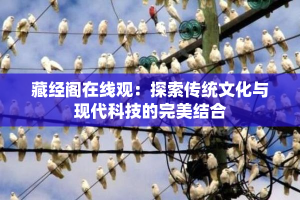 藏经阁在线观：探索传统文化与现代科技的完美结合