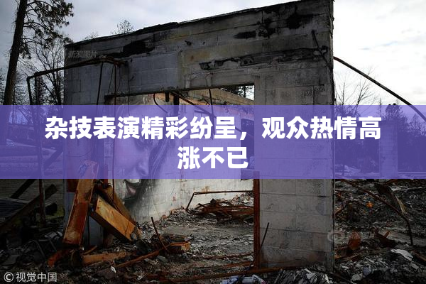 杂技表演精彩纷呈，观众热情高涨不已