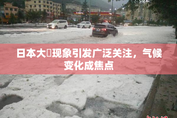 日本大隂现象引发广泛关注，气候变化成焦点