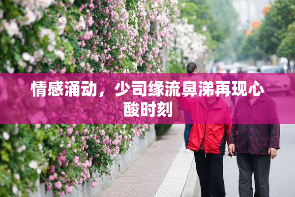 情感涌动，少司缘流鼻涕再现心酸时刻