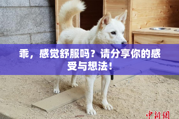 乖，感觉舒服吗？请分享你的感受与想法！