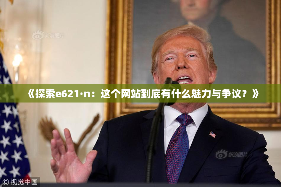 《探索e621·n：这个网站到底有什么魅力与争议？》