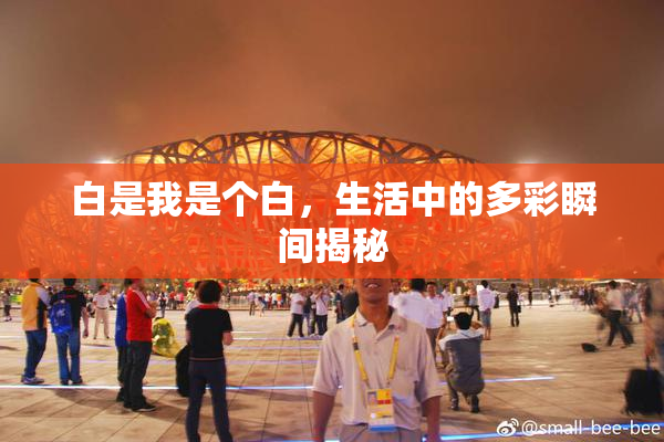 白是我是个白，生活中的多彩瞬间揭秘
