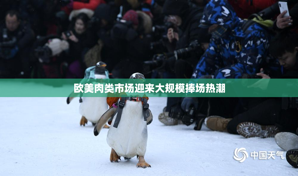 欧美肉类市场迎来大规模捧场热潮