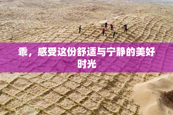 乖，感受这份舒适与宁静的美好时光