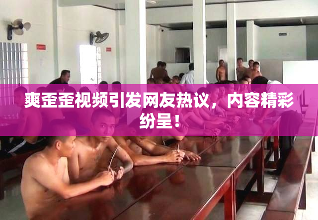 爽歪歪视频引发网友热议，内容精彩纷呈！