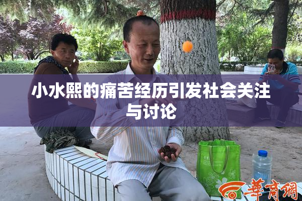 小水熙的痛苦经历引发社会关注与讨论