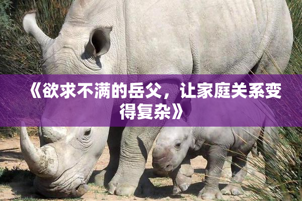 《欲求不满的岳父，让家庭关系变得复杂》