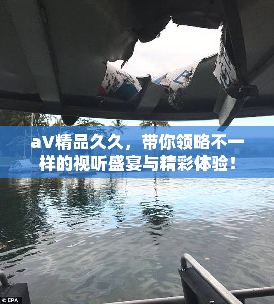 aV精品久久，带你领略不一样的视听盛宴与精彩体验！