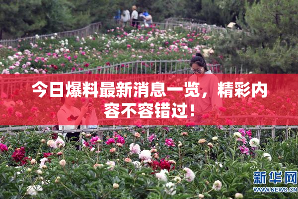 今日爆料最新消息一览，精彩内容不容错过！