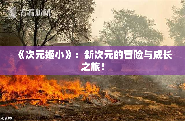 《次元姬小》：新次元的冒险与成长之旅！