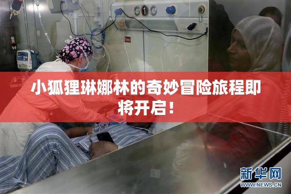 小狐狸琳娜林的奇妙冒险旅程即将开启！