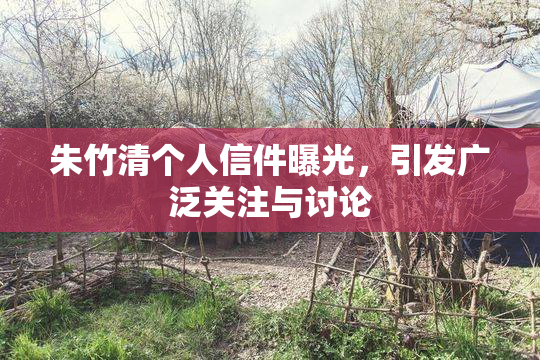 朱竹清个人信件曝光，引发广泛关注与讨论