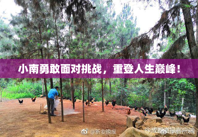 小南勇敢面对挑战，重登人生巅峰！