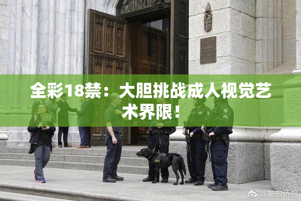 全彩18禁：大胆挑战成人视觉艺术界限！