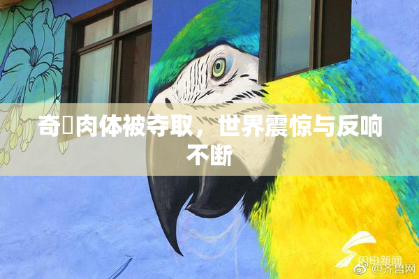 奇犽肉体被夺取，世界震惊与反响不断