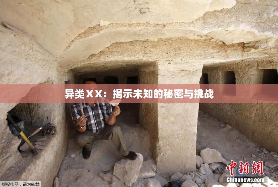异类ⅩX：揭示未知的秘密与挑战