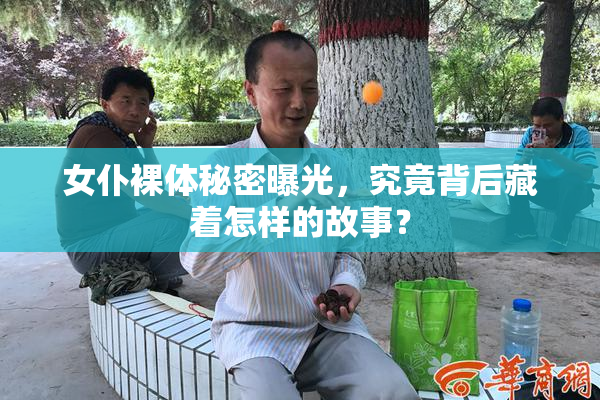 女仆裸体秘密曝光，究竟背后藏着怎样的故事？