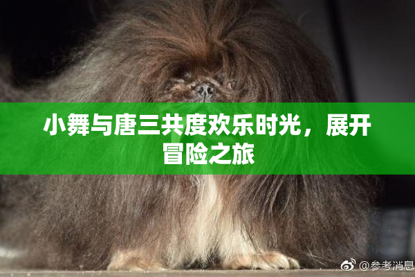 小舞与唐三共度欢乐时光，展开冒险之旅
