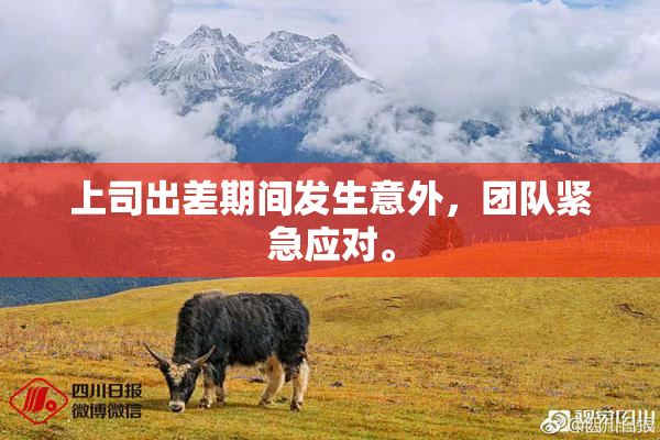 上司出差期间发生意外，团队紧急应对。